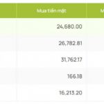 ty gia usd hom nay 4 9 ty gia trung tam nang len dat 24.229 dong usd hinh anh 2