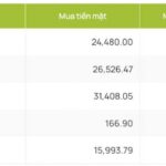 ty gia usd hom nay 10 9 ty gia trung tam nang len muc 24.194 dong usd hinh anh 2